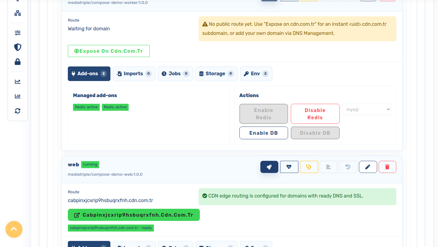 Two container apps running after import
